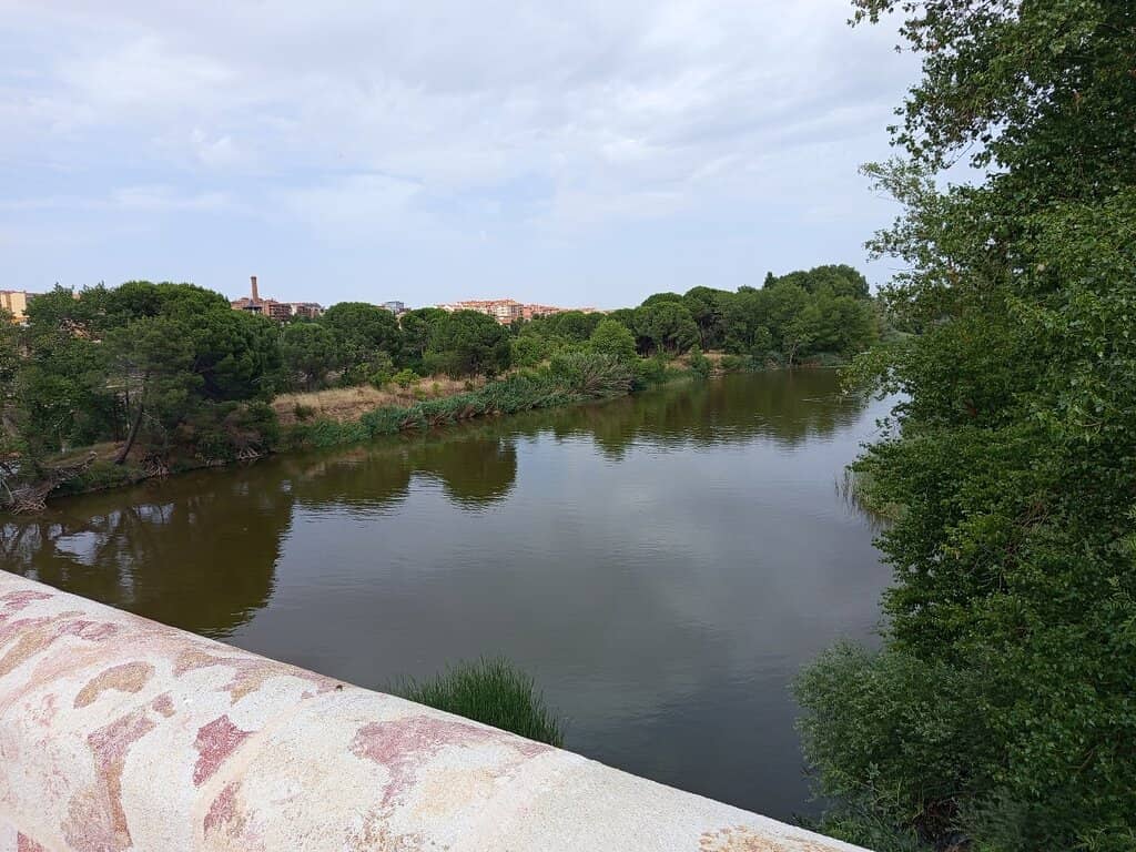 Zamora's Roman Bridge