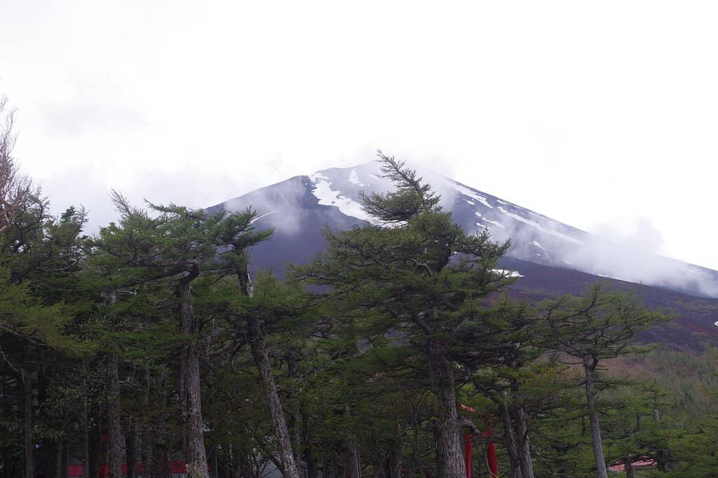 Souvenir Shops & Cafes