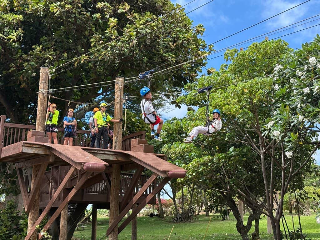 Expert and Hilarious Guides