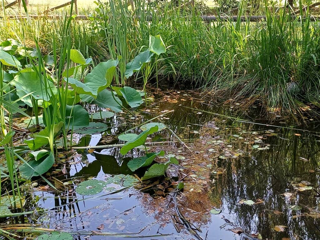 Sustainability Events