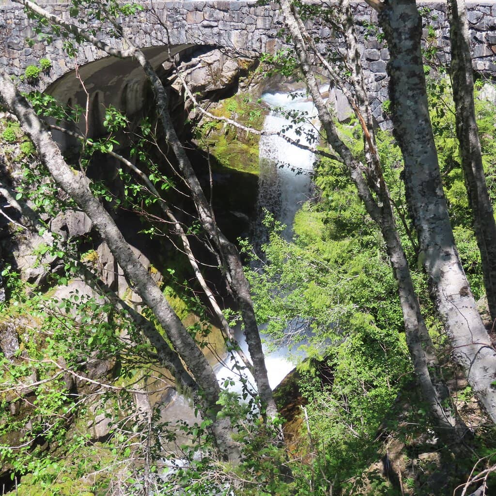 Lower Falls Trail