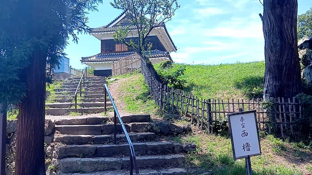 Cherry Blossom Spectacle