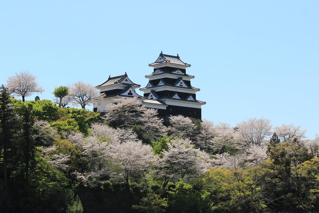 日本最大級の木造復元天守をもつ"大洲城"。市民の募金などによりも木造にて復元して以来、大洲城下町のシンボルとして美しくそびえ立っています。 2004年に復元された大洲城は、木造にこだわり史実に忠実に再現されています。日本の伝統技法を用いて復元された天守閣内の木組みは美しく、大迫力。大洲城のスタッフ曰く、「当時のお殿様が見ていた景色をそのまま見れるのが大洲城の良さ」とのこと。 また、大洲城は泊まれるお城としても有名です。”大洲城キャッスルステイ”は、夕刻になると法螺貝の音が大洲城に鳴り響き、当時のお殿様の入城シーンを再現した城主体験から始まります。その後は大洲が誇る伝統芸能や鉄砲隊による歓迎の祝砲などを鑑賞し、地元の食材をふんだんに使用したディナーに堪能します。夜になると誰もいない天守を貸し切り、ゆっくりと眠りにつくことができます。