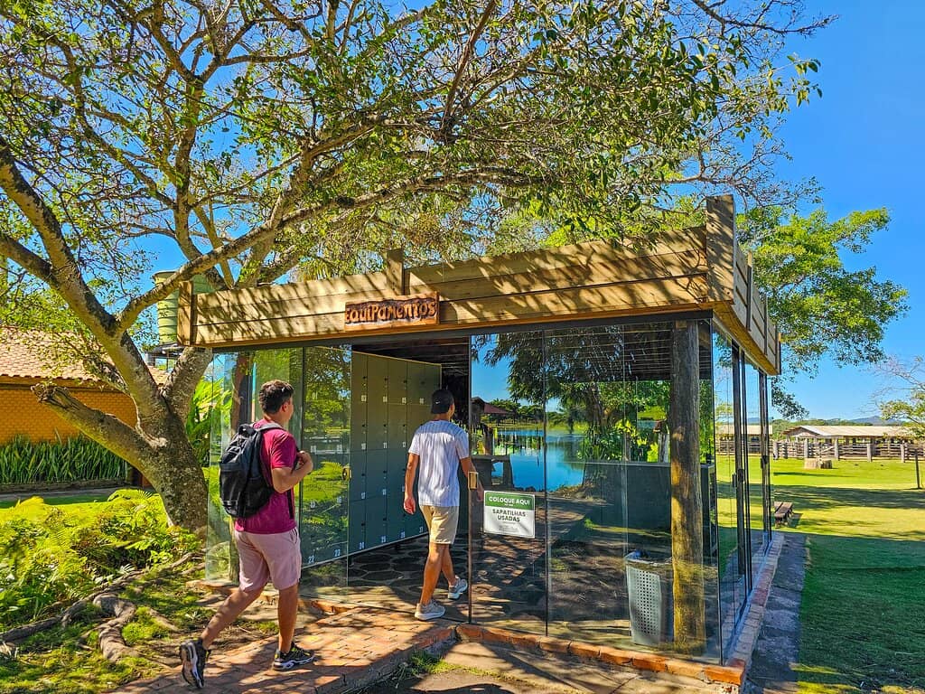 Waterfall Swimming & Snorkeling