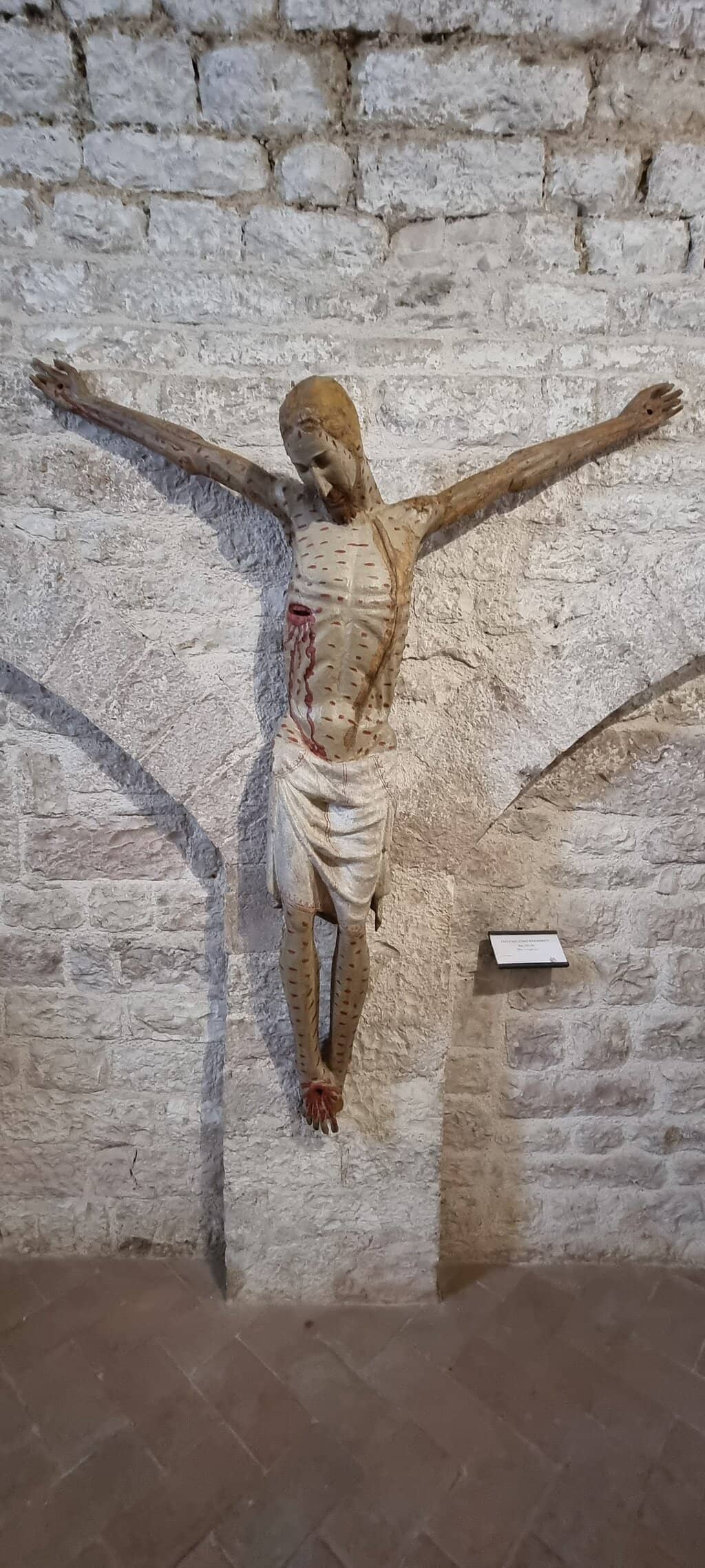 Archaeological Excavation Area