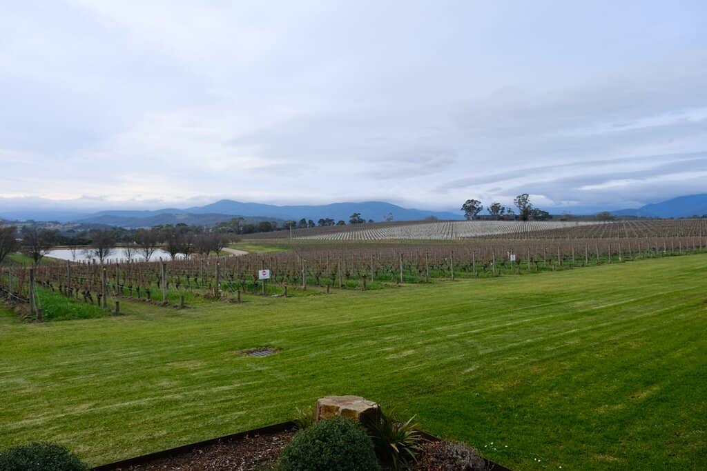 Award-Winning Chardonnay