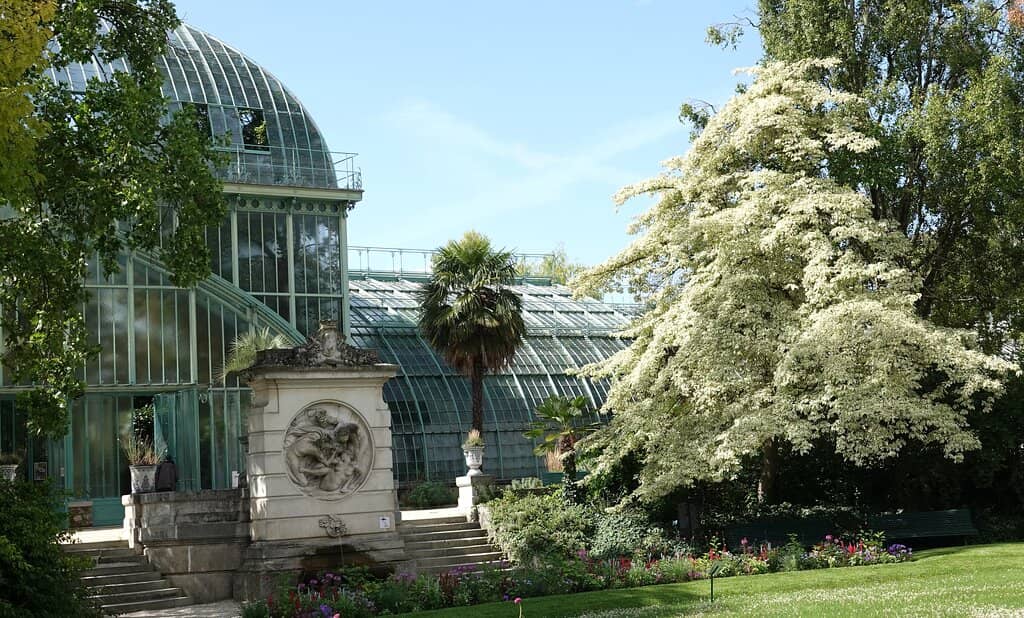 Tranquil Ponds and Water Features