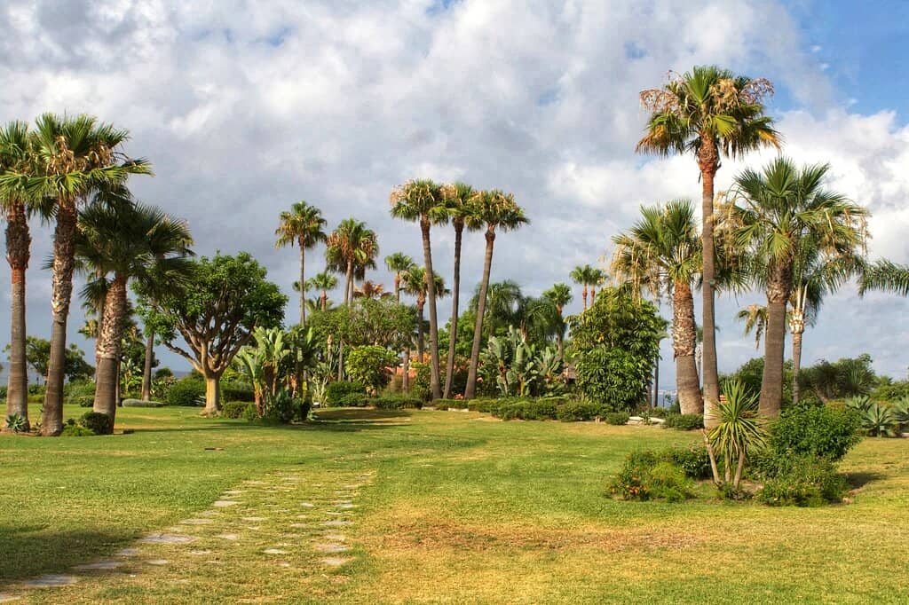 Expansive Coastal Promenade