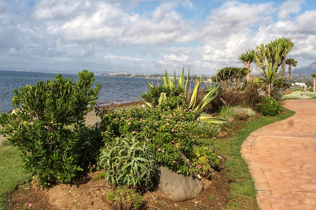 Marathon Route Scenery