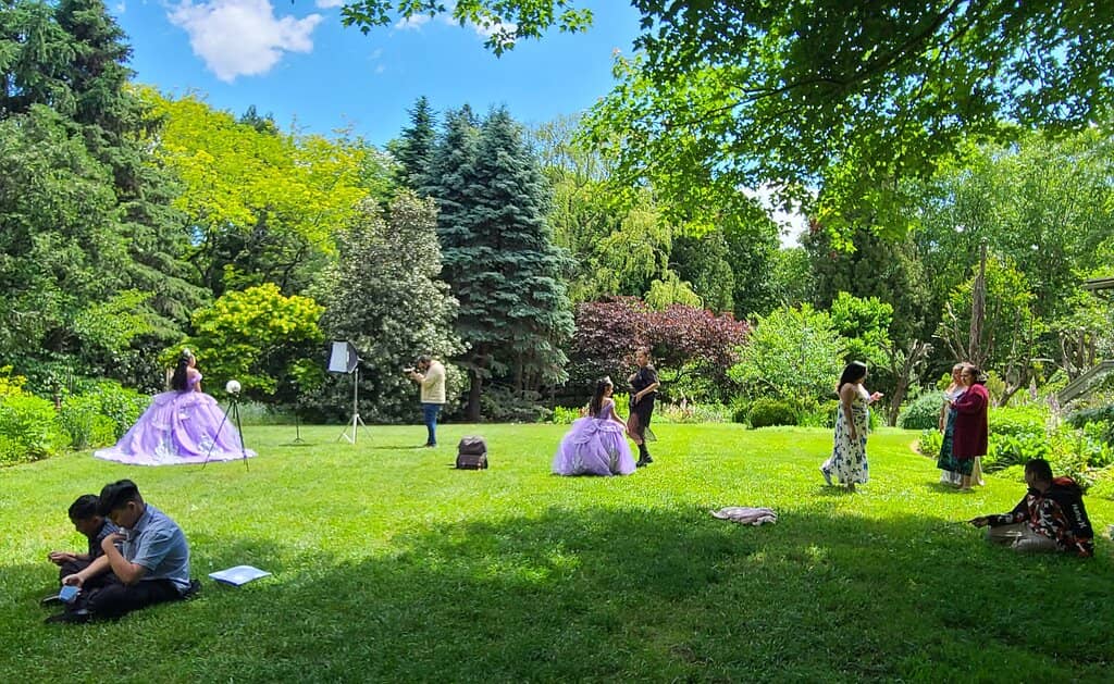 Whimsical Garden Features