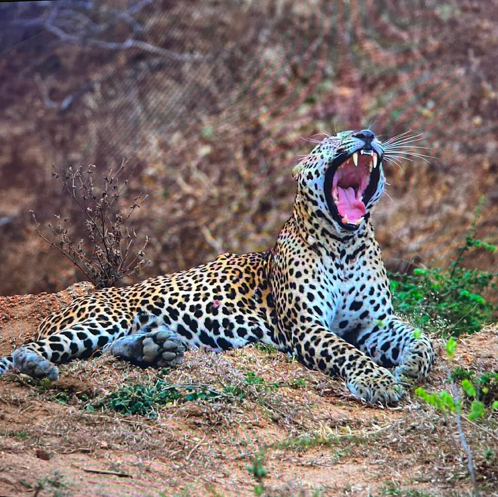 Abandoned Village Ruins