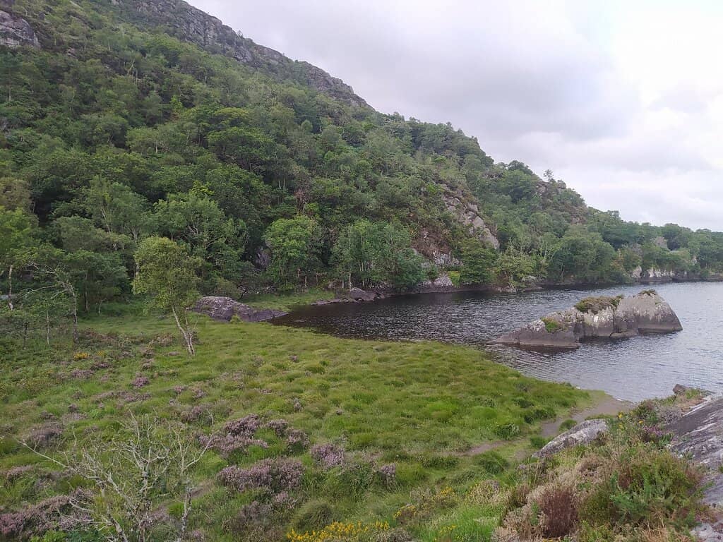 The Ladies View Cafe