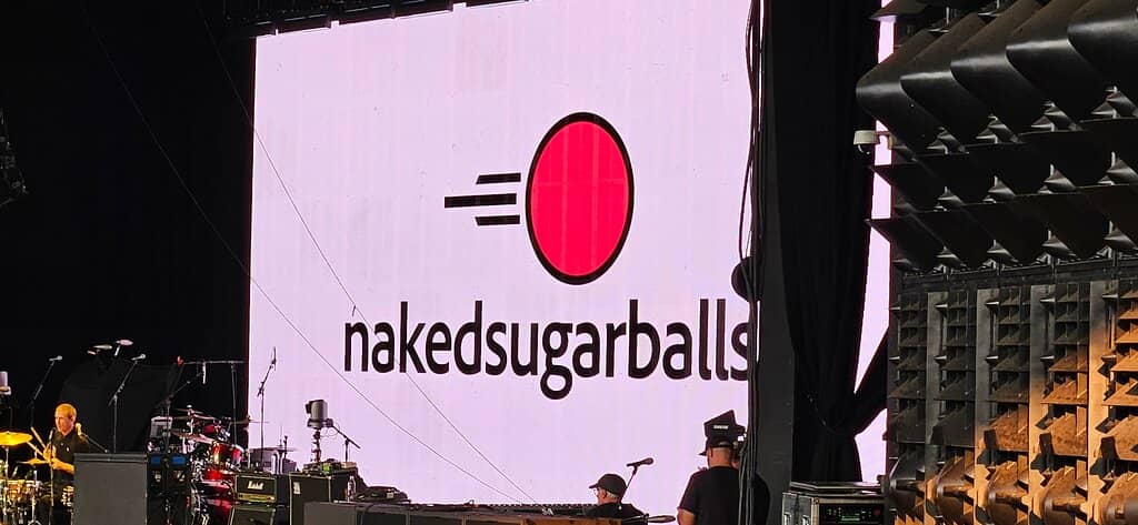 Lawn Seating Ambiance