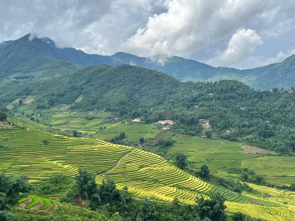 Emerald Rice Terraces