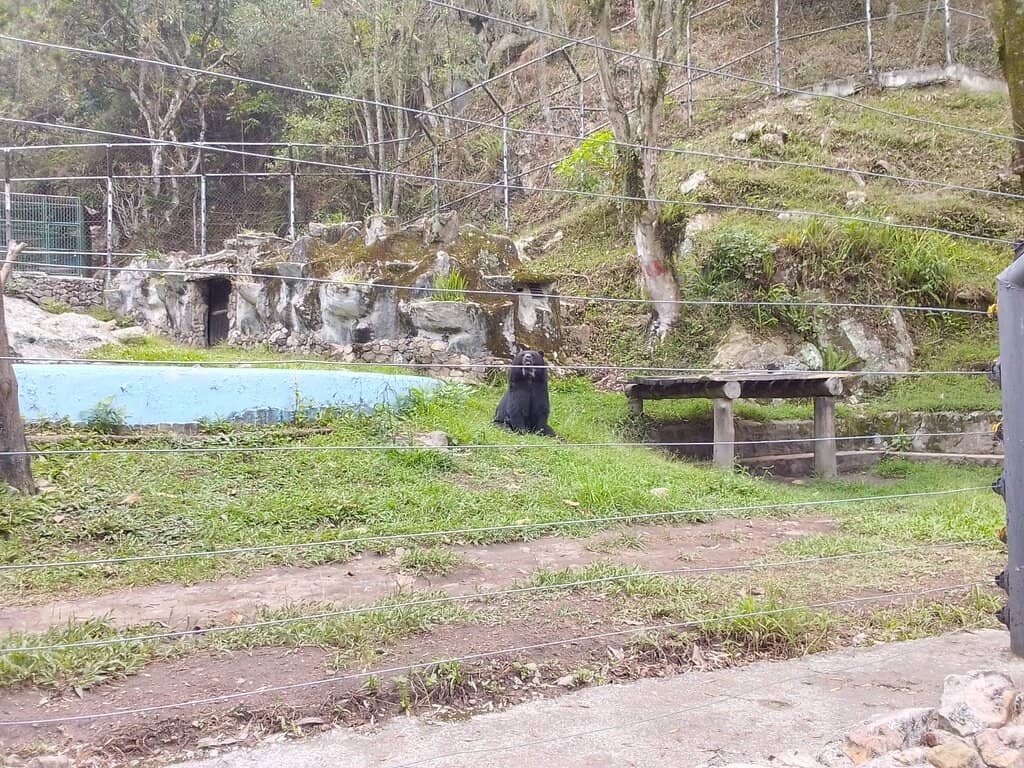 Chorros de Milla Waterfall