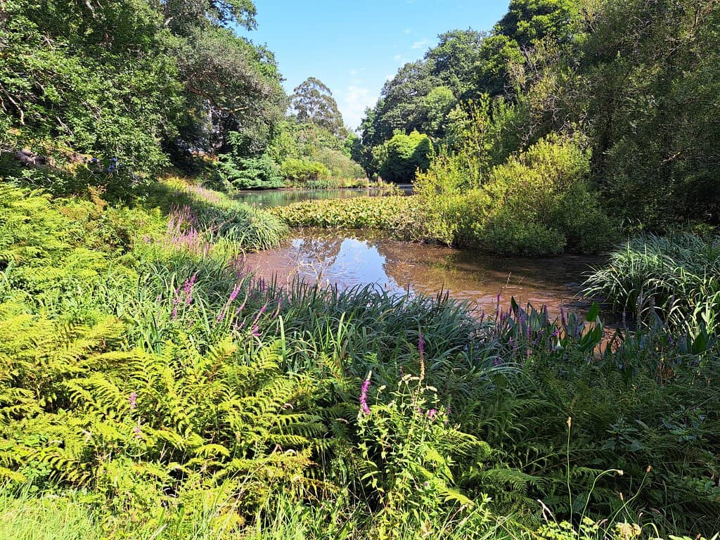 Charming Cafe & Cakes