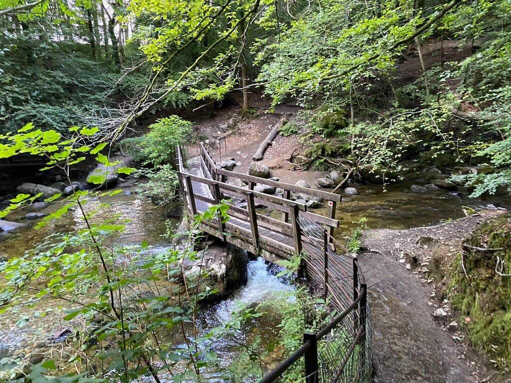 Skelghyll Woods
