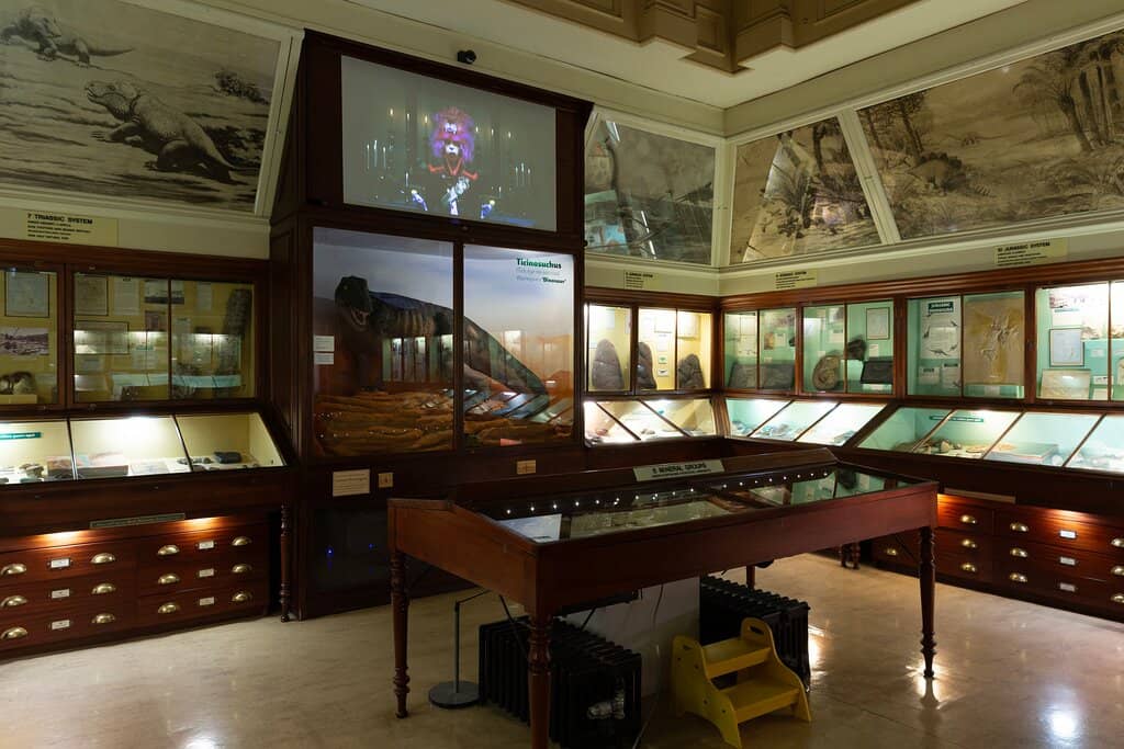 Ancient Egypt Exhibit