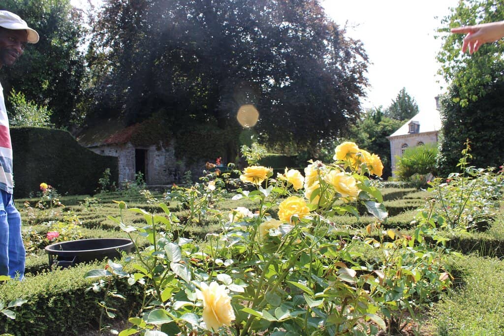 Historical Guided Tours