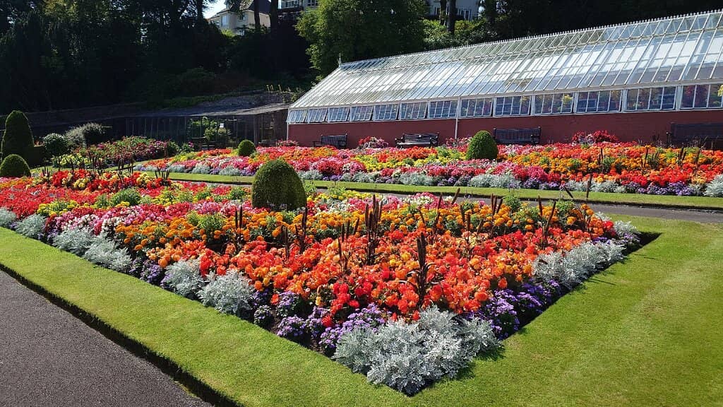 Propagation & Education Displays
