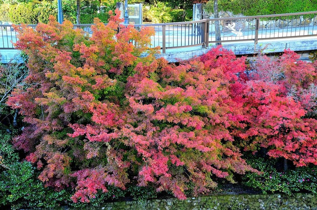 Riverfront Foot Baths
