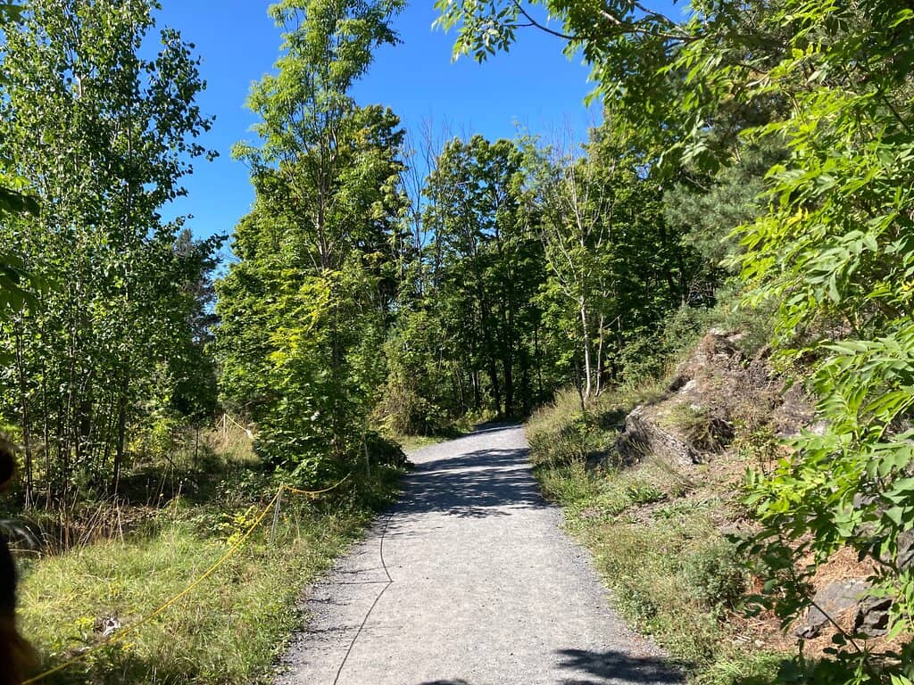 Vertical photo