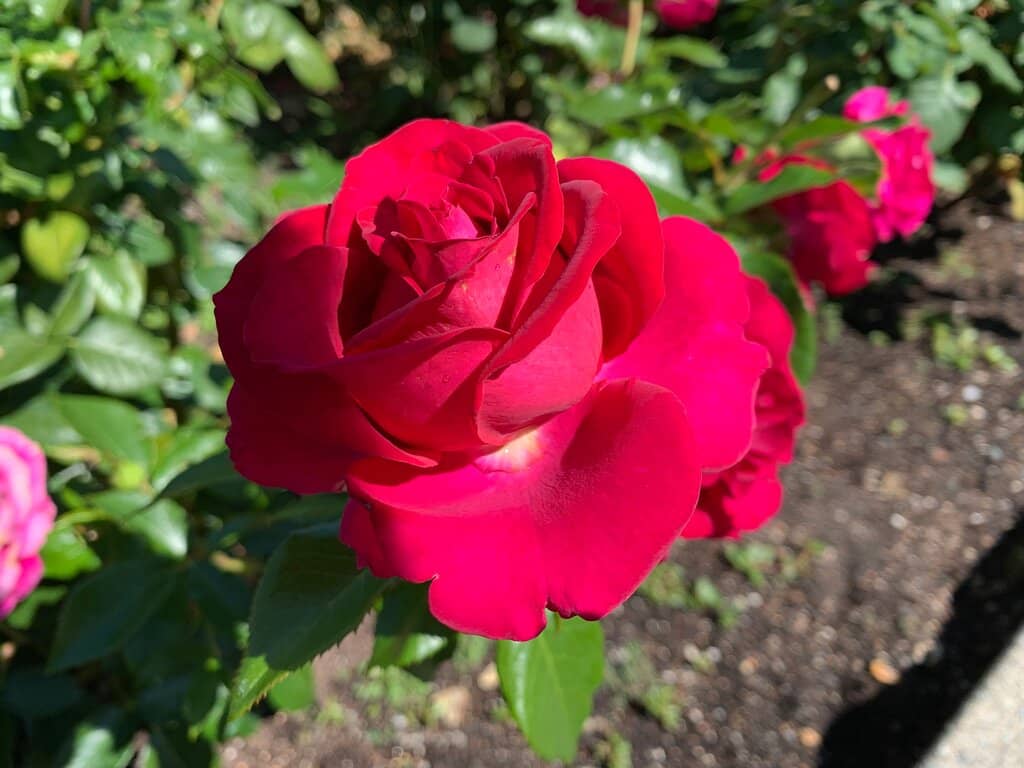 Panoramic Coastal Views