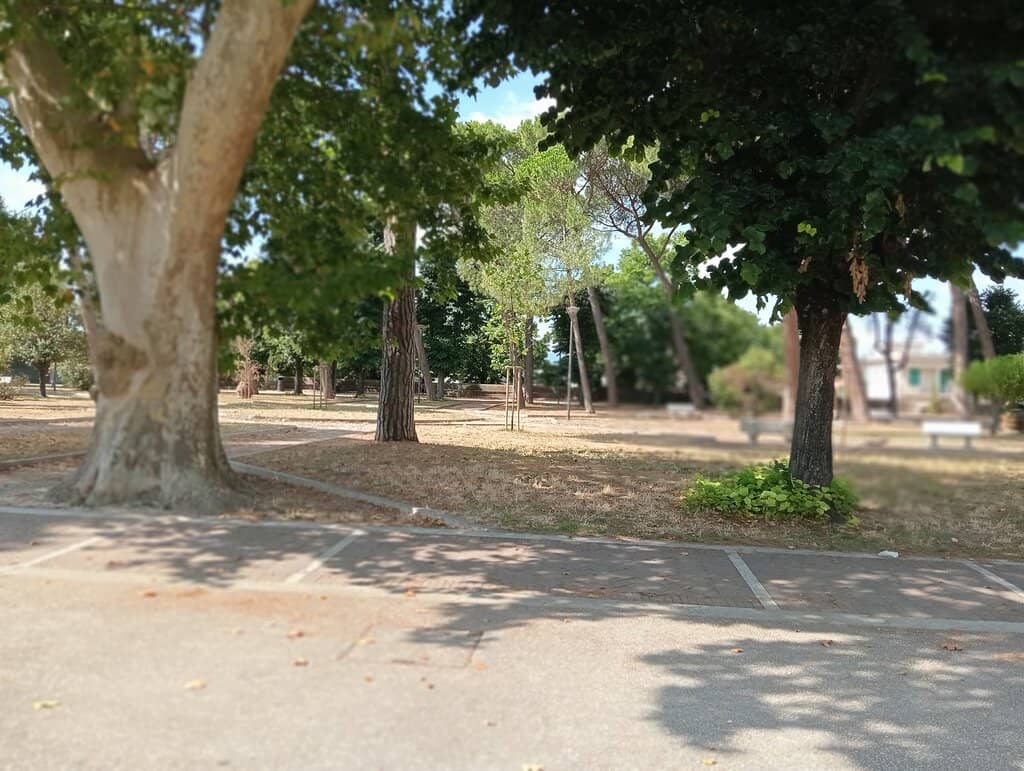 Picnic & Relaxation Zones