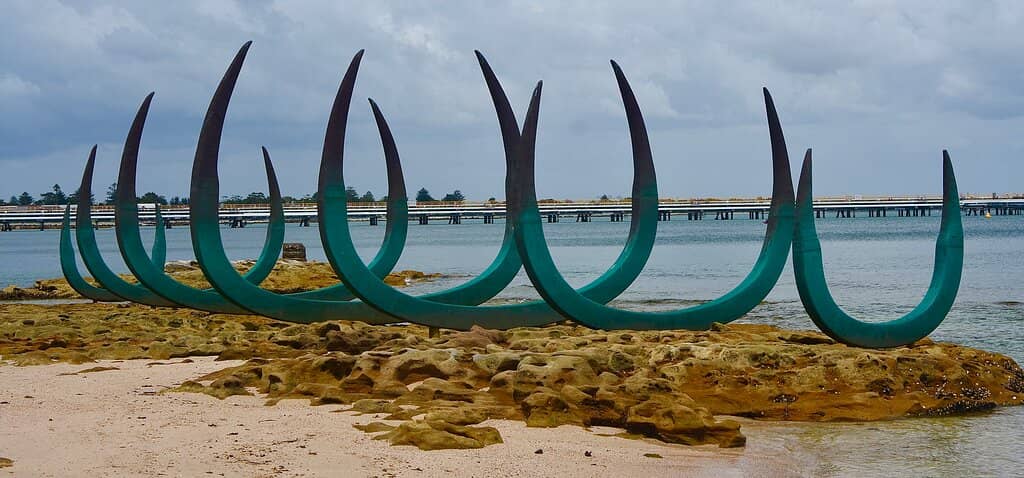 Coastal Walks & Hidden Beaches