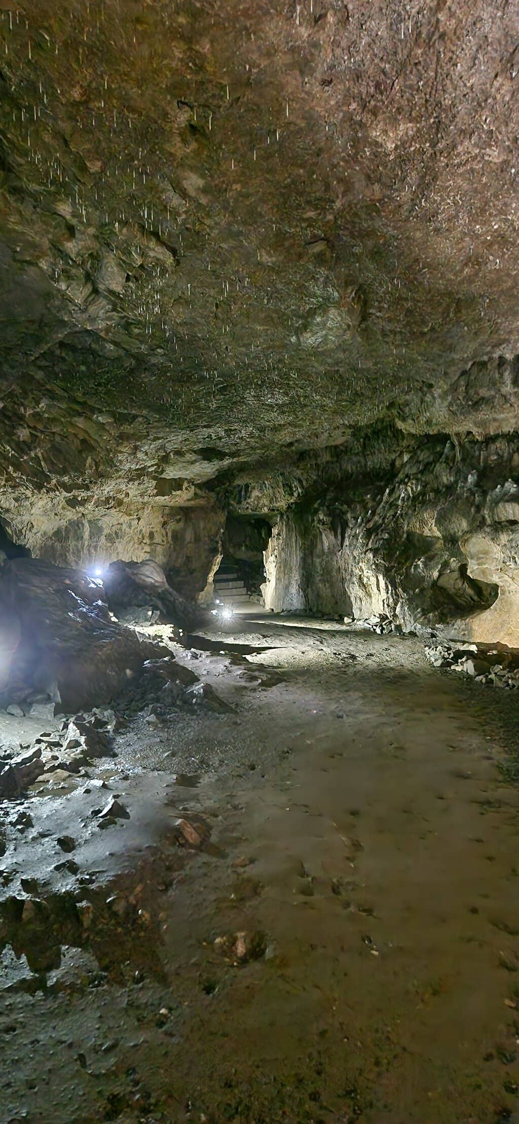 Viking Massacre Site