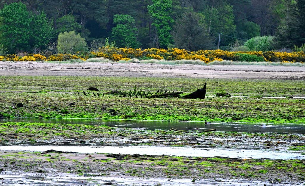 Isle of Arran Coastal Stroll