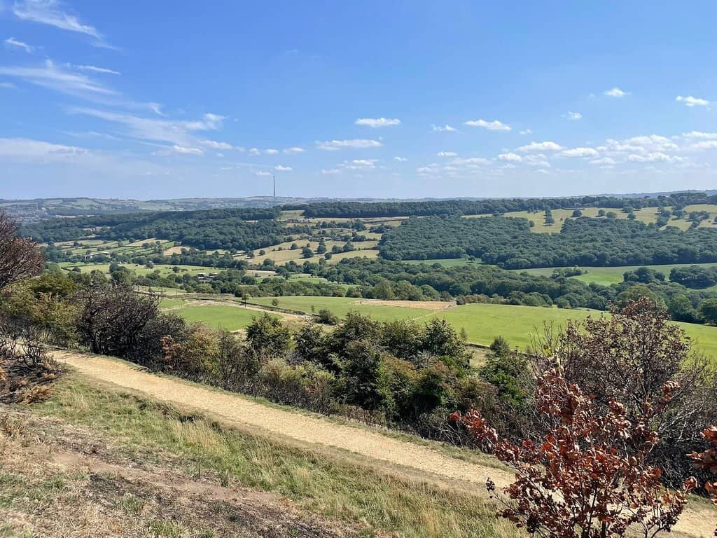 Victoria Tower Views