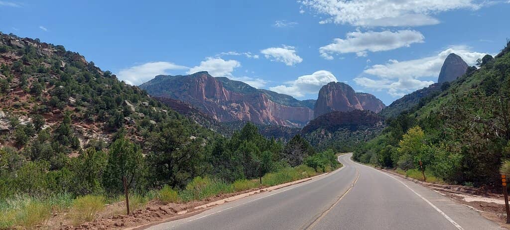 Timber Creek Overlook Trail