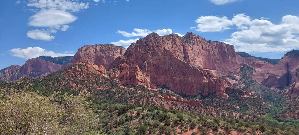 Scenic Drive