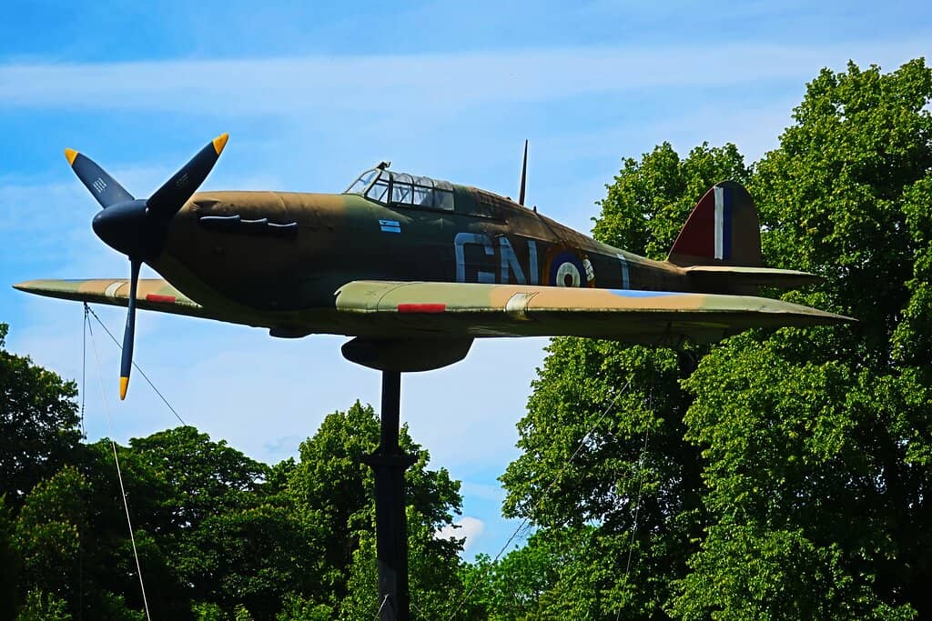 Picnic Perfect Lawns