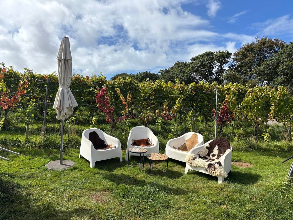 Vineyard Views
