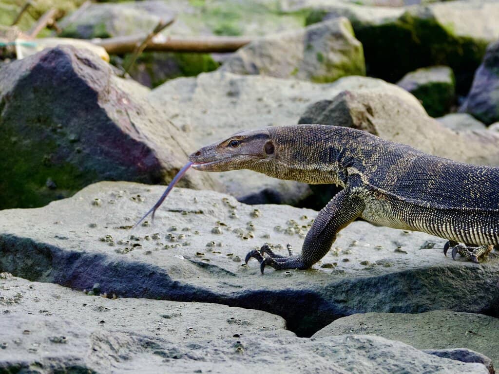 Cycling and Coastal Paths