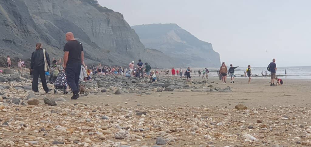 Jurassic Coast Views