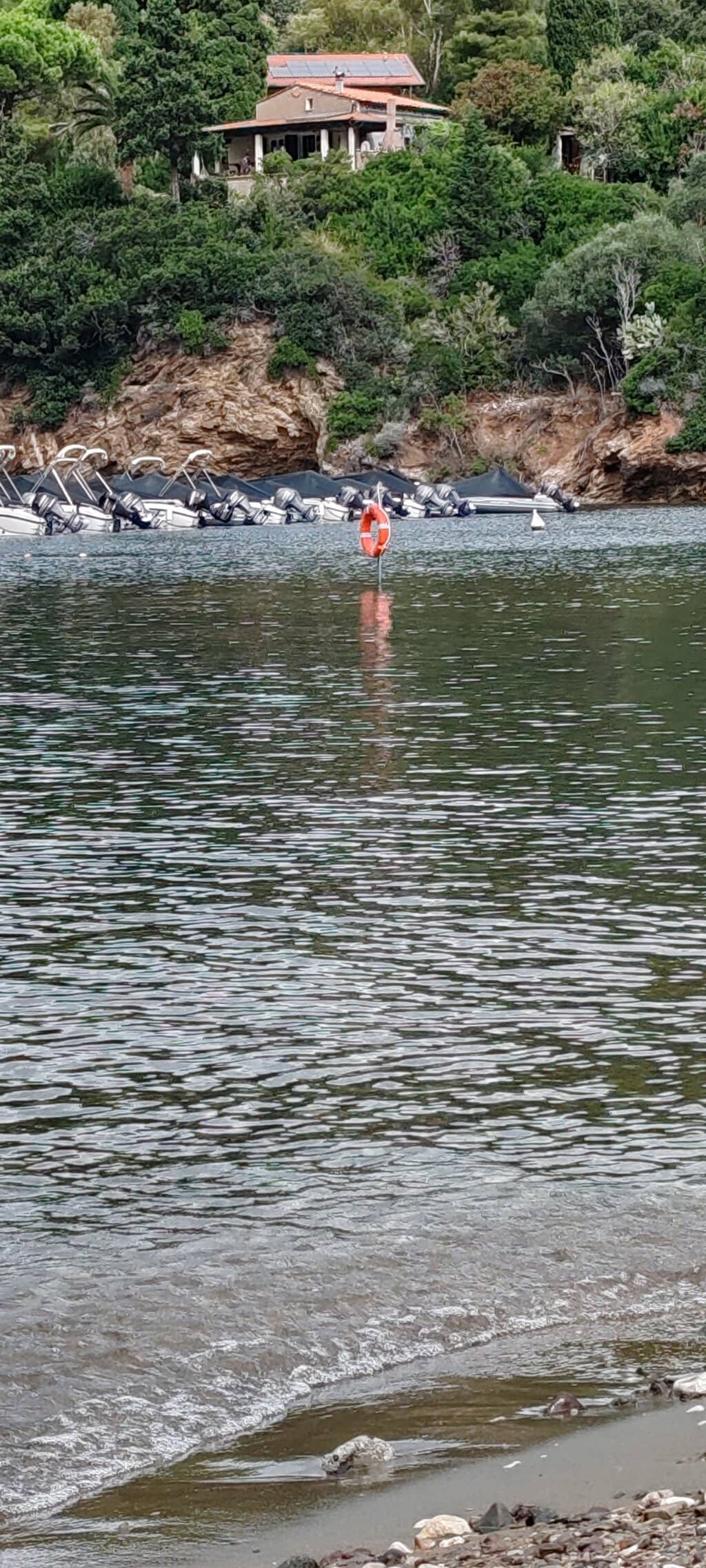 Vertical photo