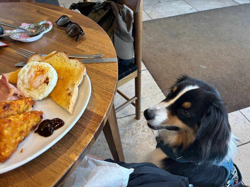 Charming Maritime Decor