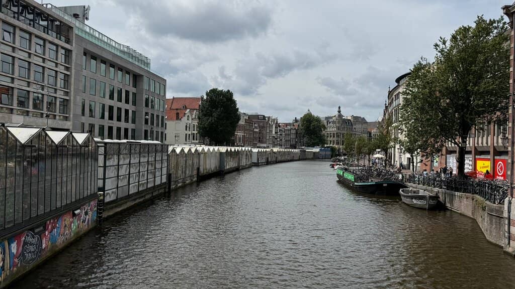 Live Music & Atmosphere