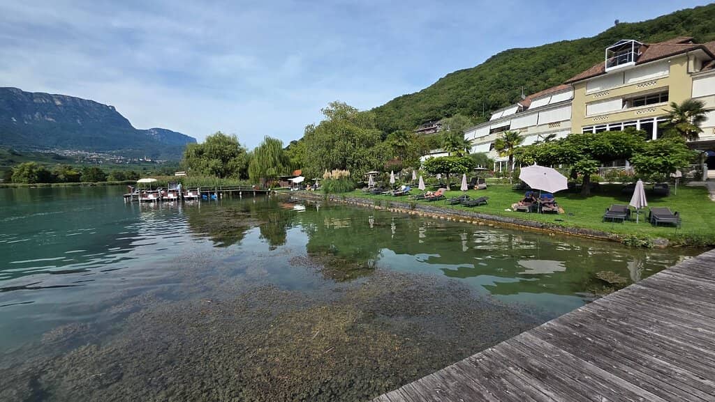 Vineyard-Lined Shores