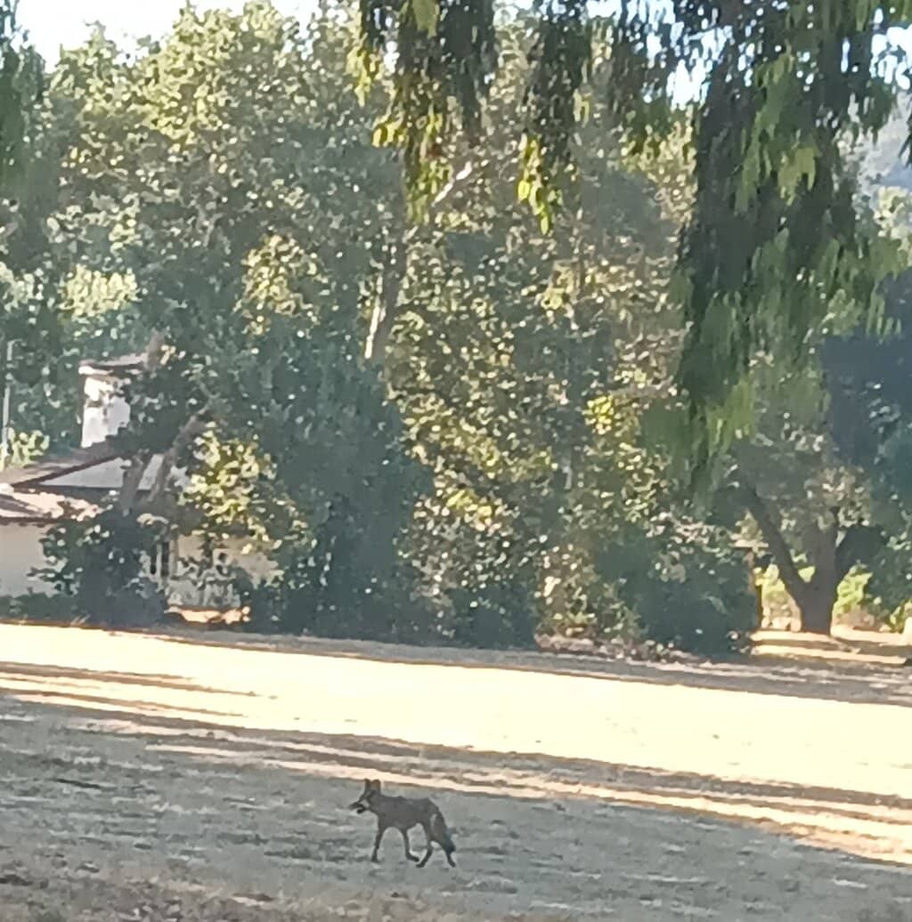 Historic Architecture