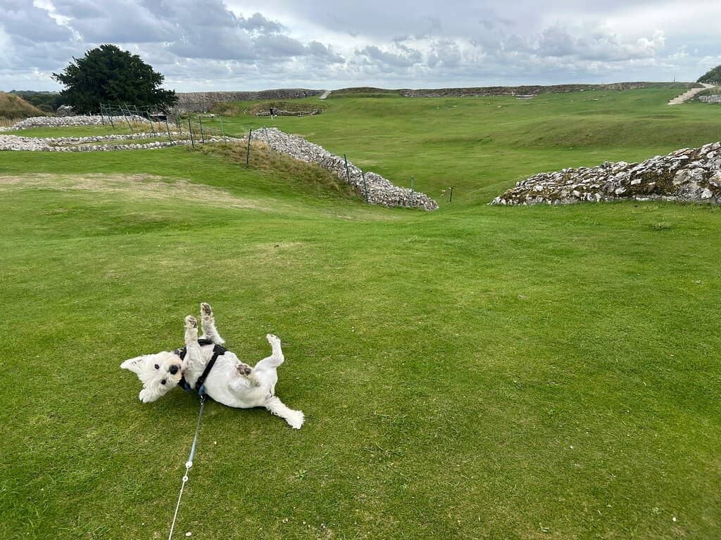 Norman Castle Mound