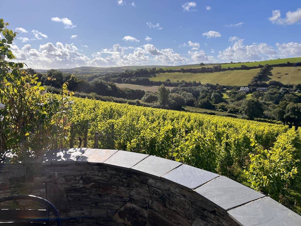 Stunning Terrace Views
