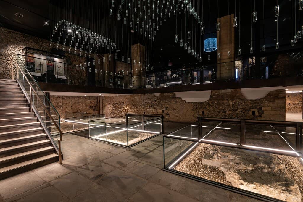Natural History Collection