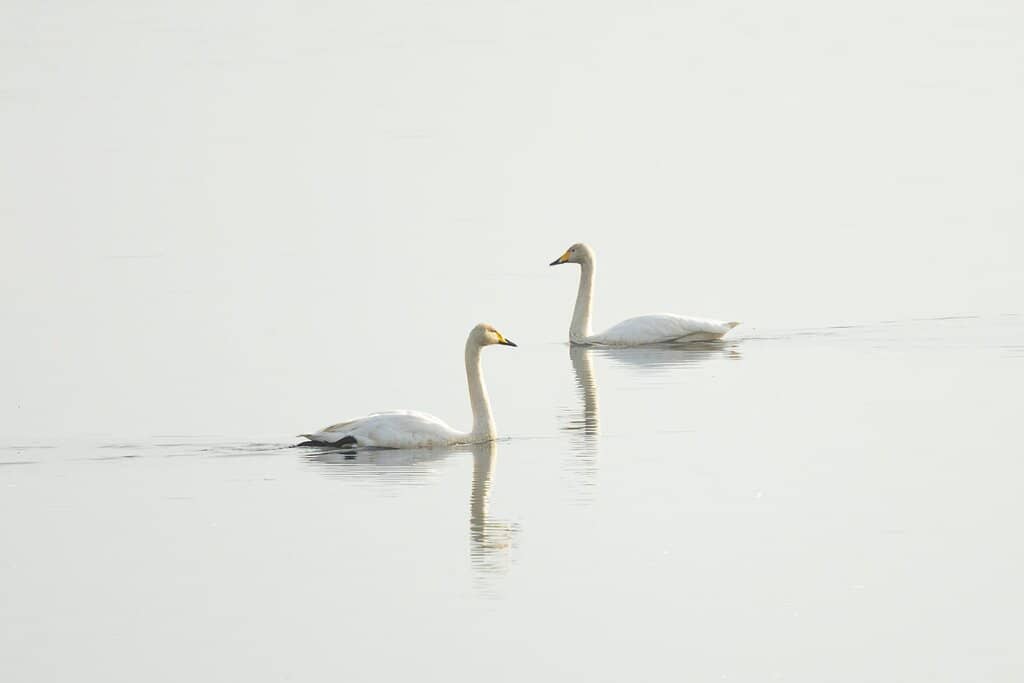 Visitor Center Exhibits