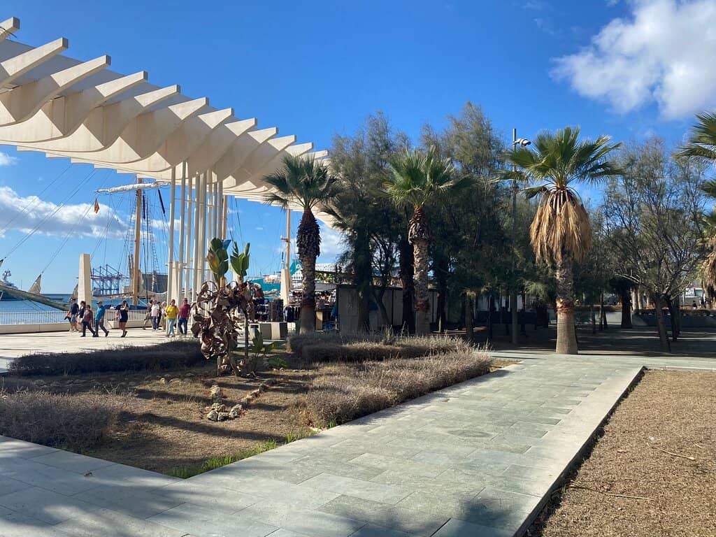 Palm-Lined Promenade