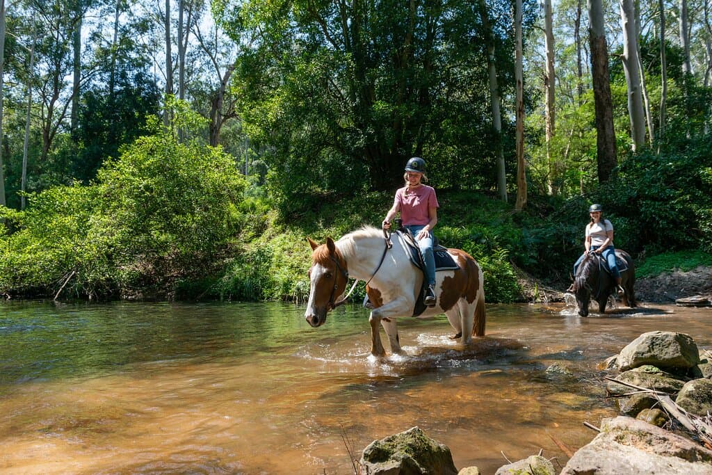 Glenworth valley wilderness adventures