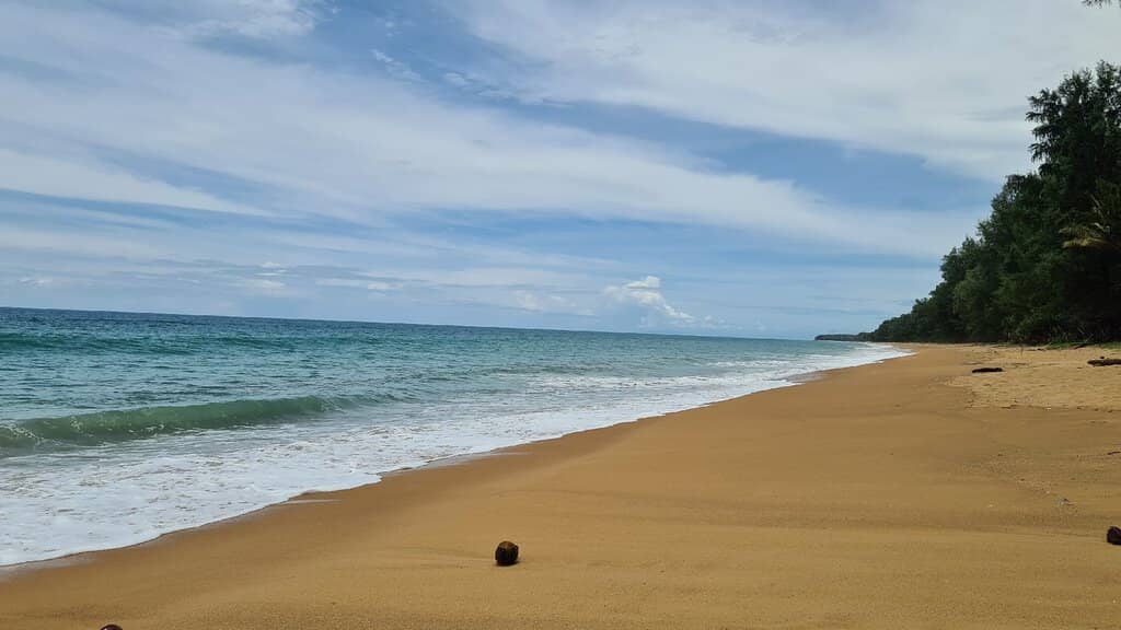 Planespotting Spectacle